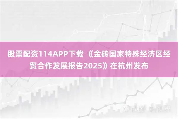 股票配资114APP下载 《金砖国家特殊经济区经贸合作发展报告2025》在杭州发布
