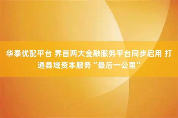 华泰优配平台 界首两大金融服务平台同步启用 打通县域资本服务“最后一公里”